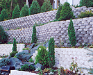 Our Designers Can Create  the Perfect Landscape And Retaining Walls.